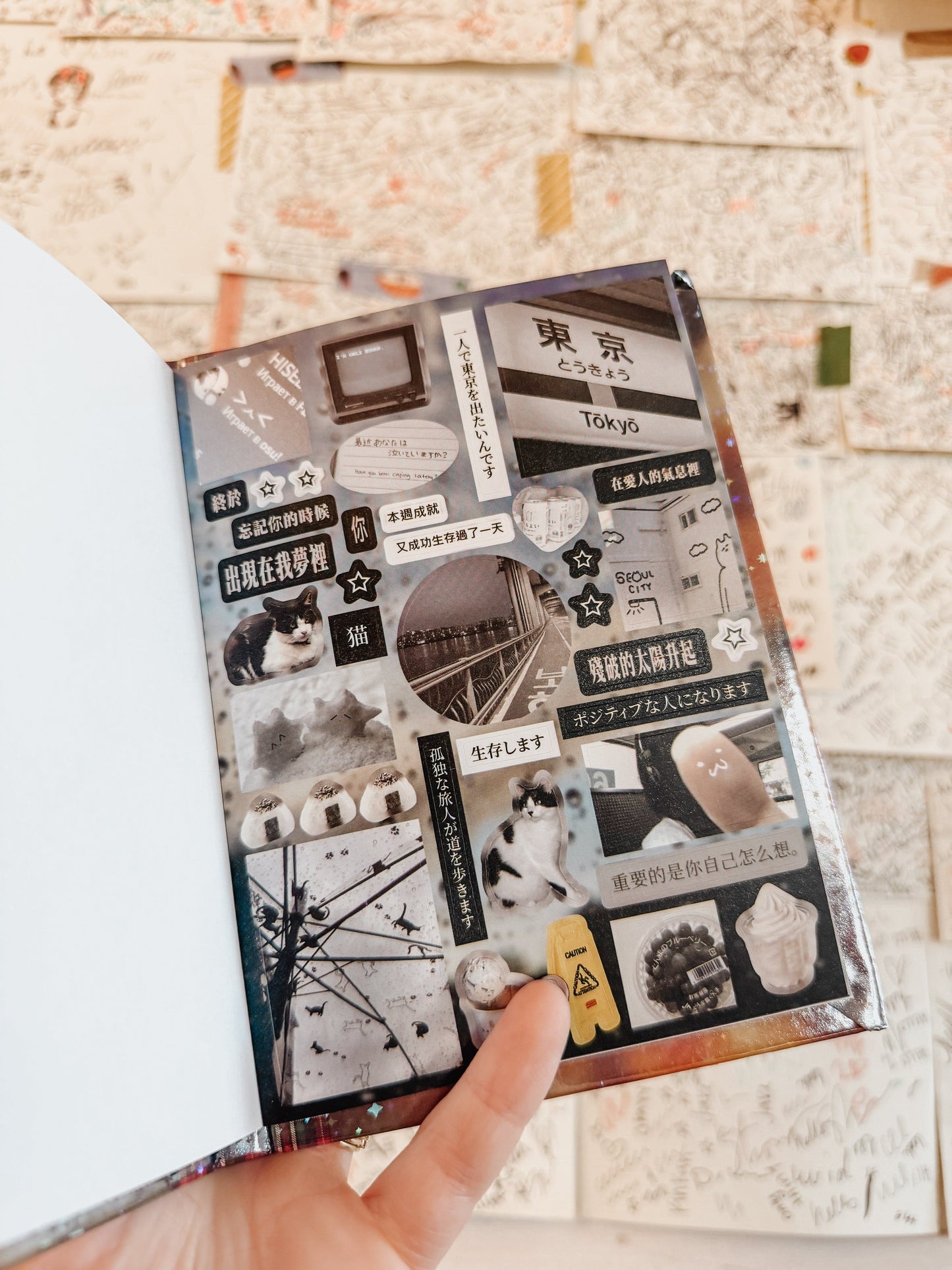 Temu Sticker Books Vintage Aesthetic Japanese Sticker Book - Four Seasons Radio Cat - Over 800 stickers