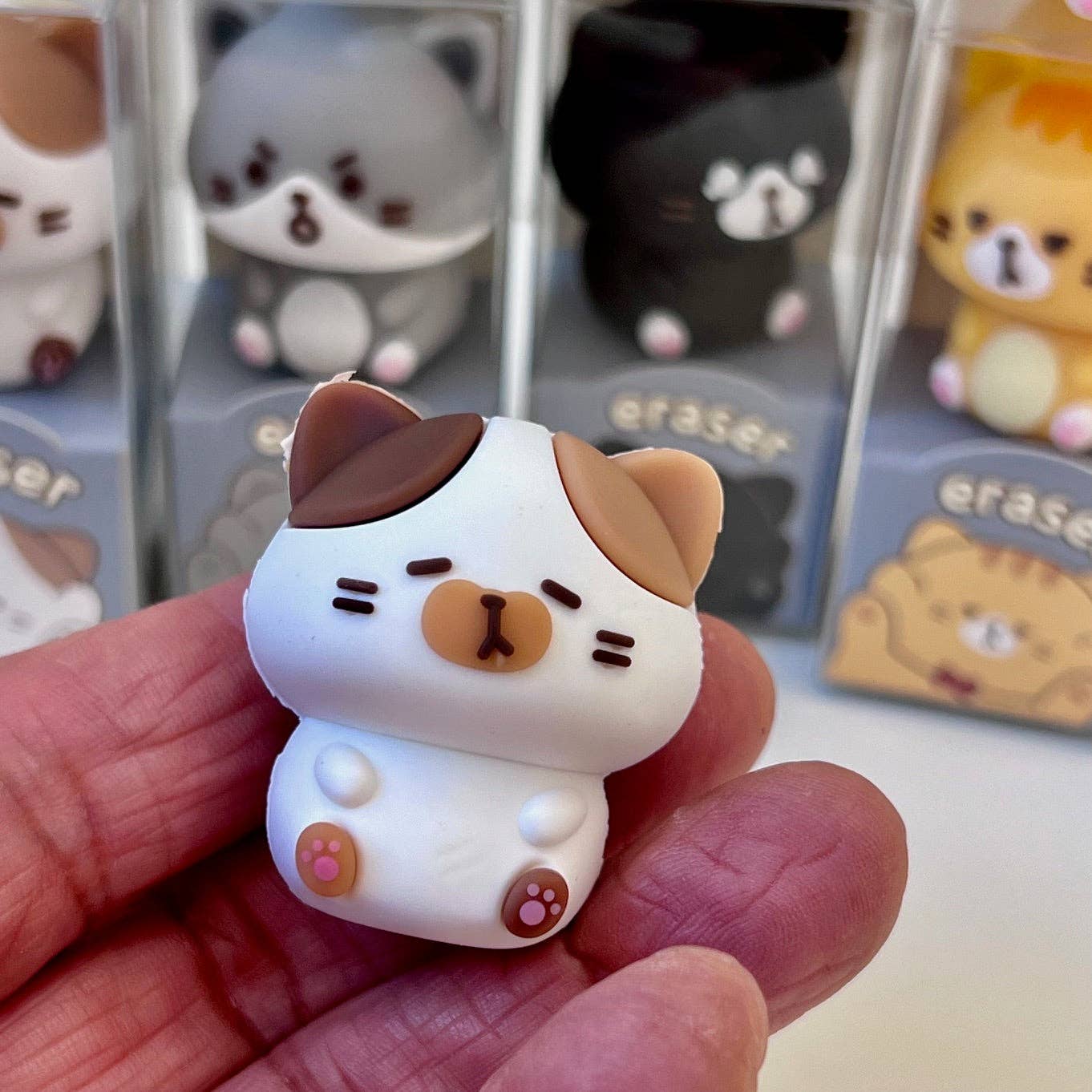 BCmini Cat Diary Erasers-24