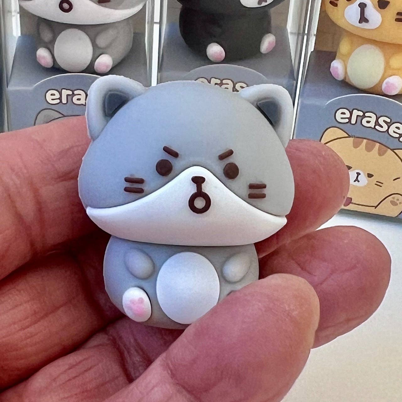BCmini Cat Diary Erasers-24