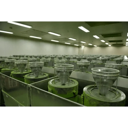 Camellia Sinensis Tea & Tea Sets Matcha Uji (40g Tin)