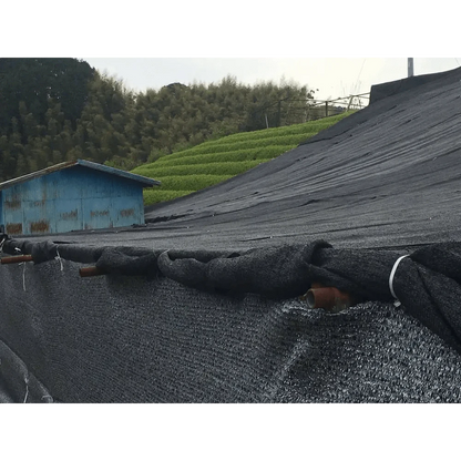 Camellia Sinensis Tea & Tea Sets Matcha Yume Organic (40g Tin)