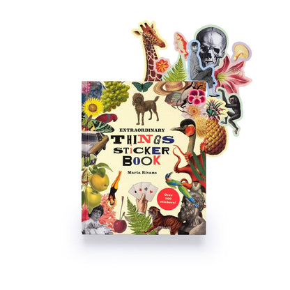 Chronicle Books Extraordinary Things Sticker Book