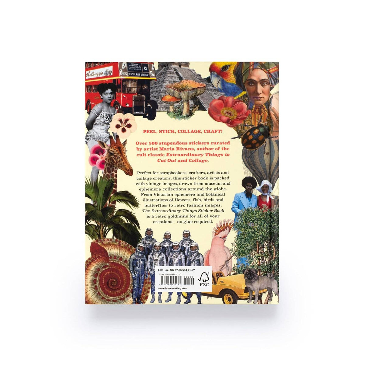 Chronicle Books Extraordinary Things Sticker Book