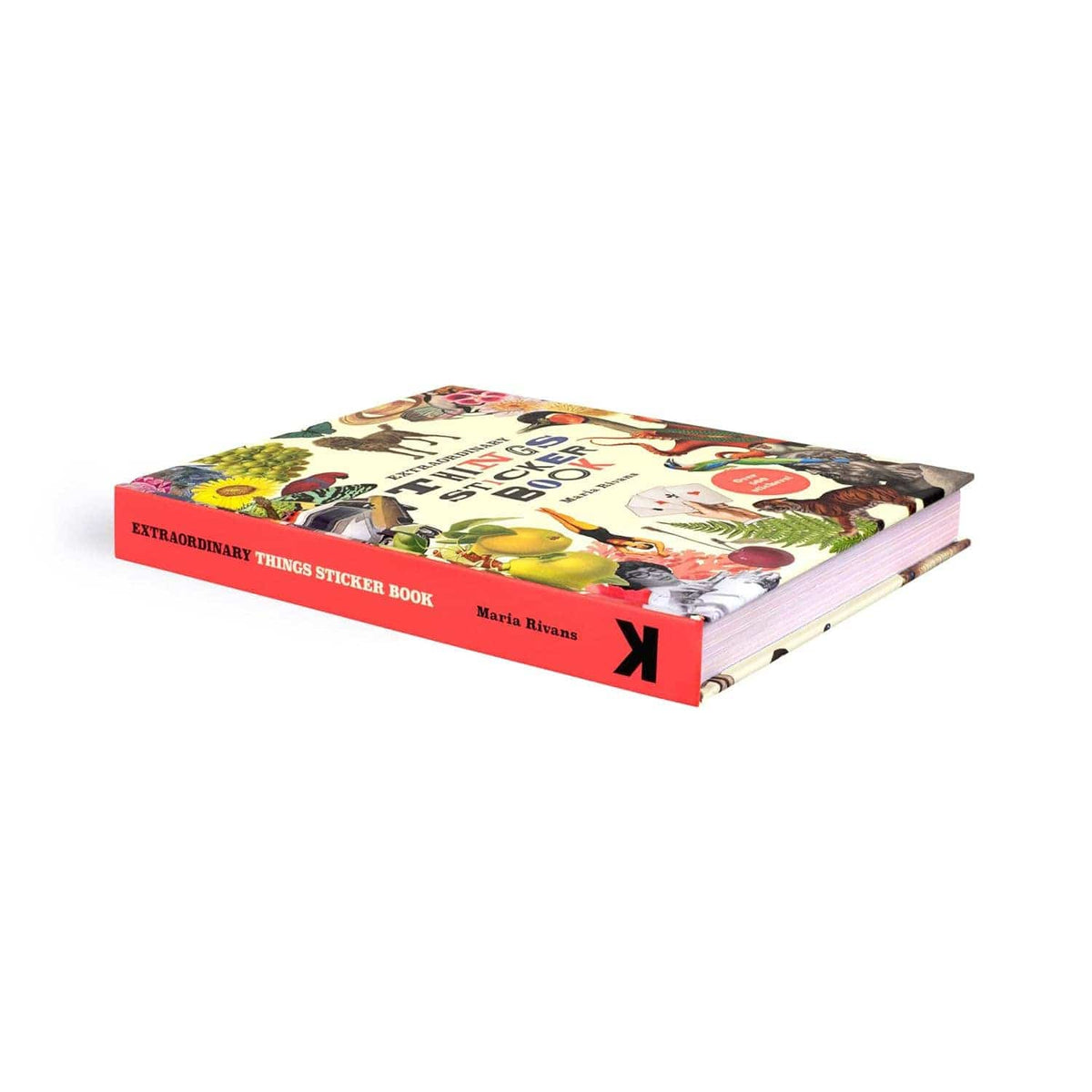 Chronicle Books Extraordinary Things Sticker Book