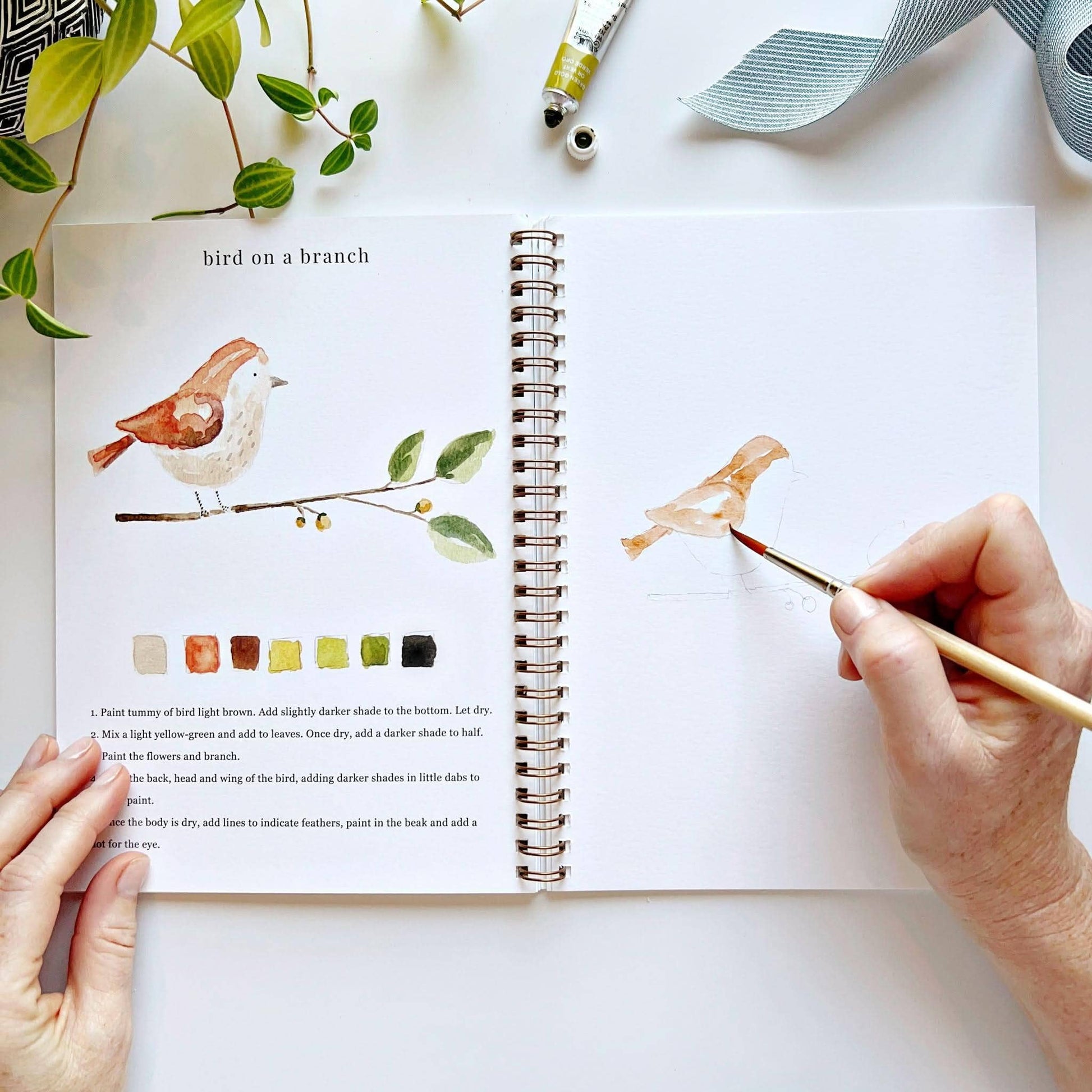emily lex studio Animals watercolor workbook