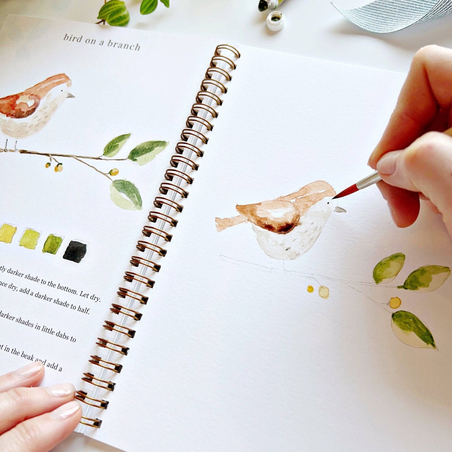 emily lex studio Animals watercolor workbook