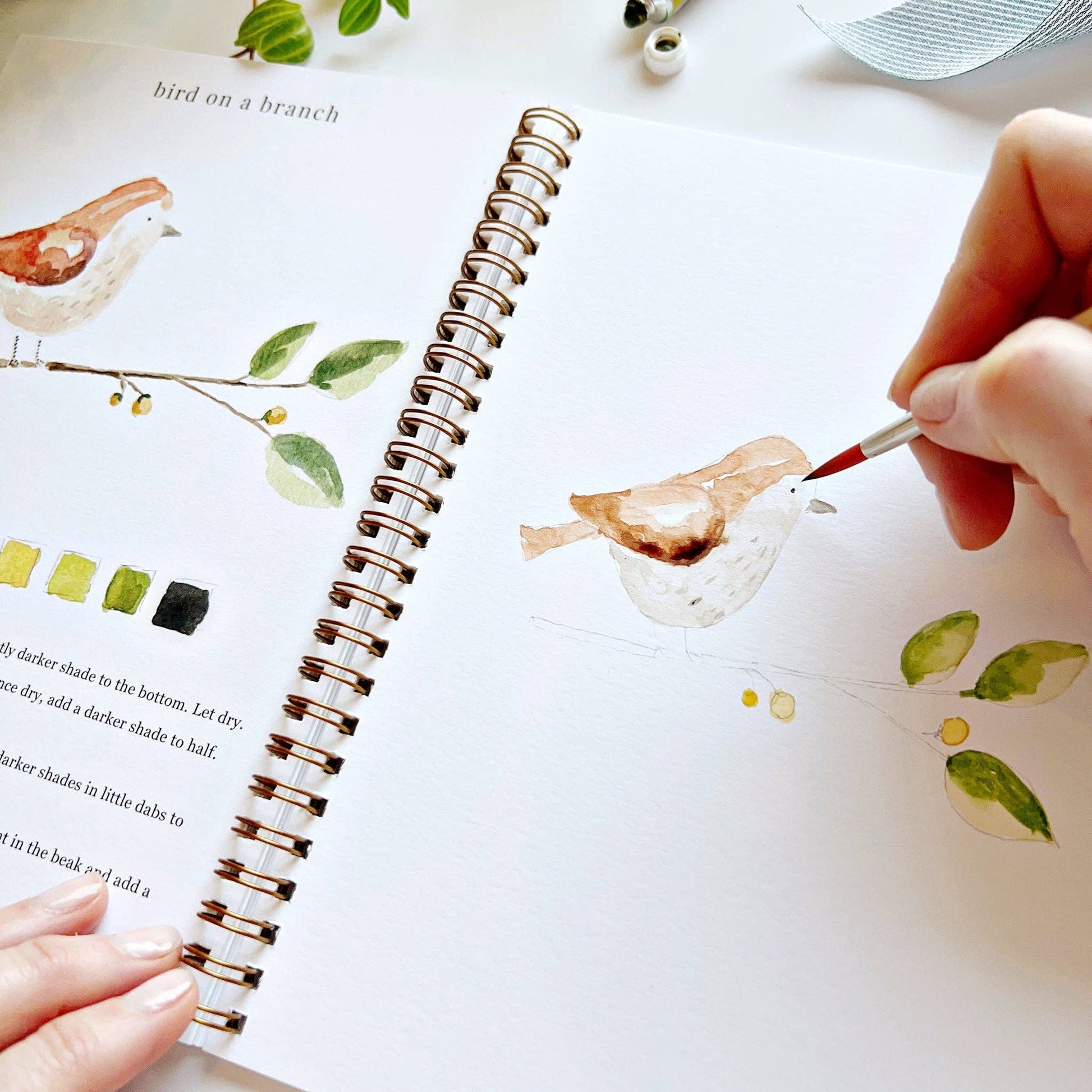 emily lex studio Animals watercolor workbook
