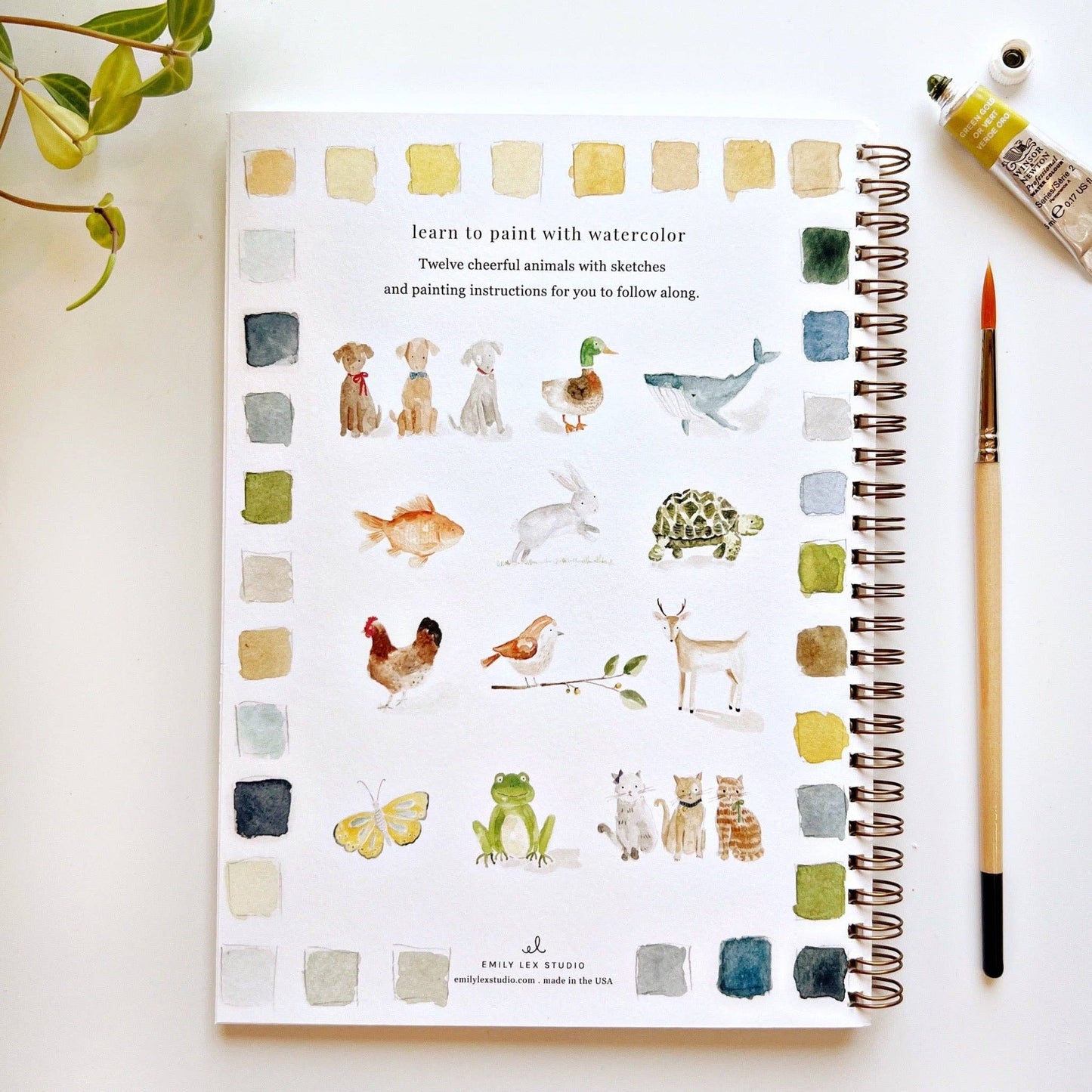 emily lex studio Animals watercolor workbook