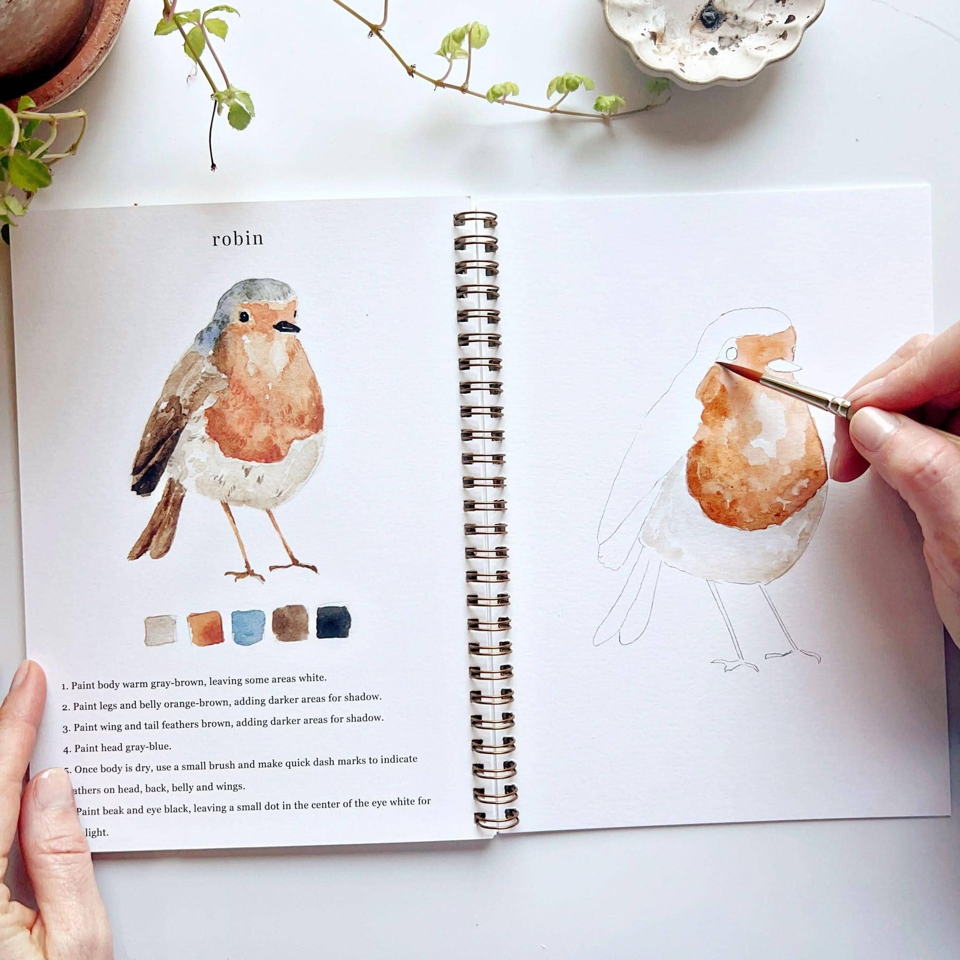 emily lex studio Birds watercolor workbook