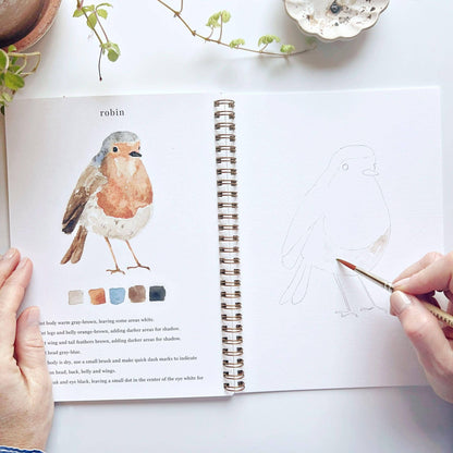 emily lex studio Birds watercolor workbook