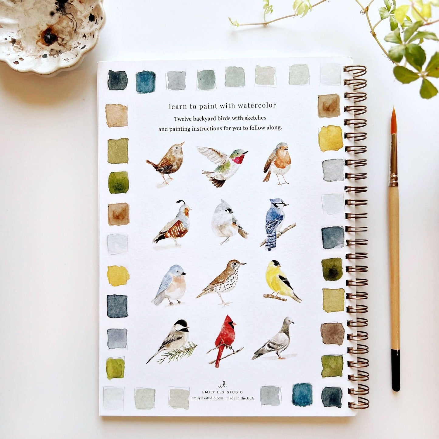 emily lex studio Birds watercolor workbook