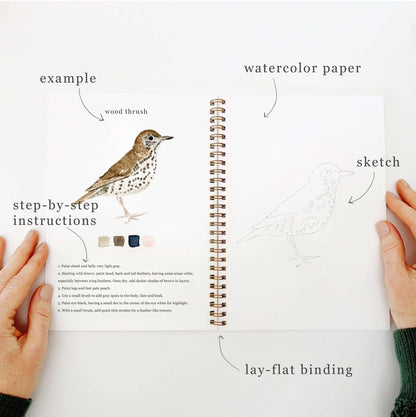 emily lex studio Birds watercolor workbook