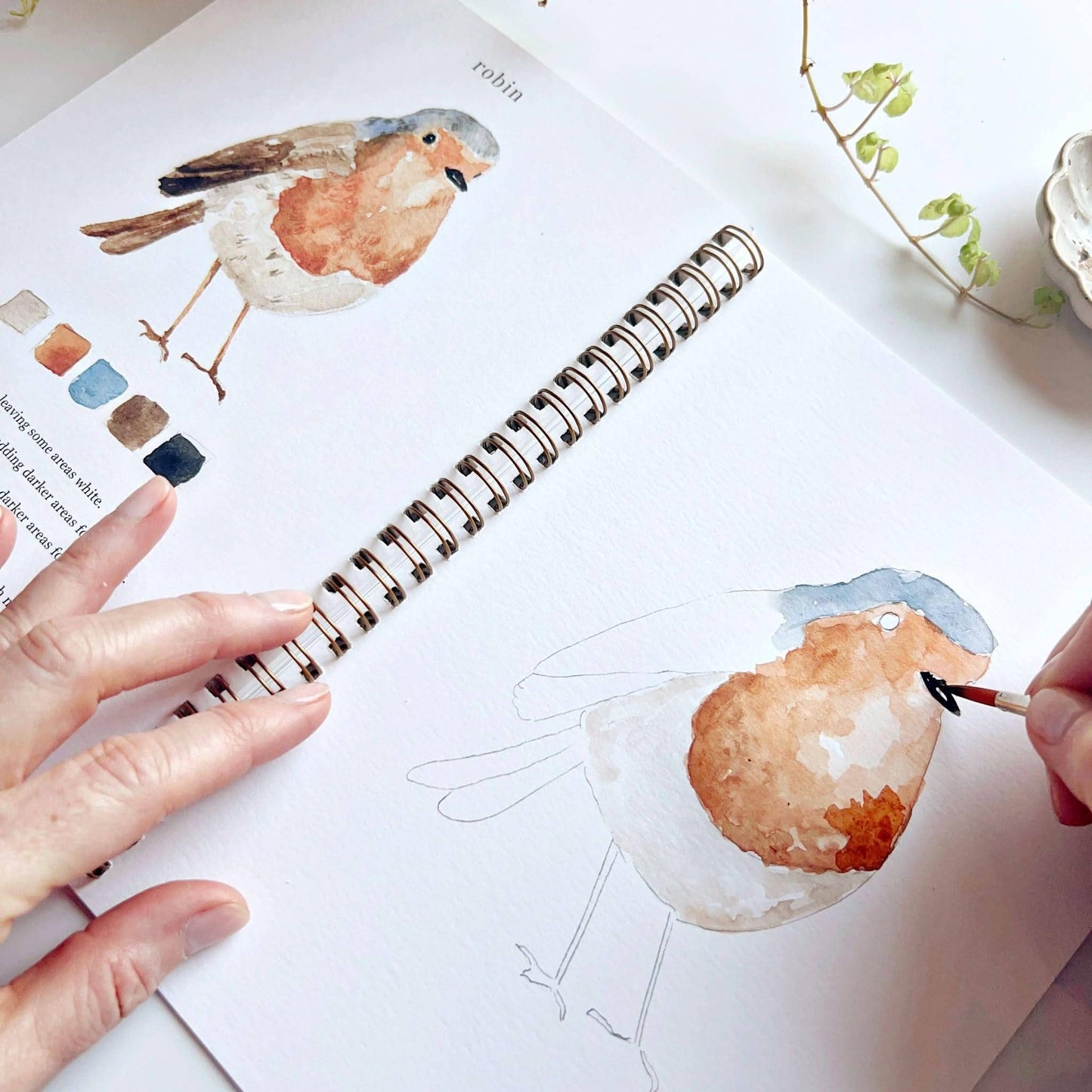 emily lex studio Birds watercolor workbook