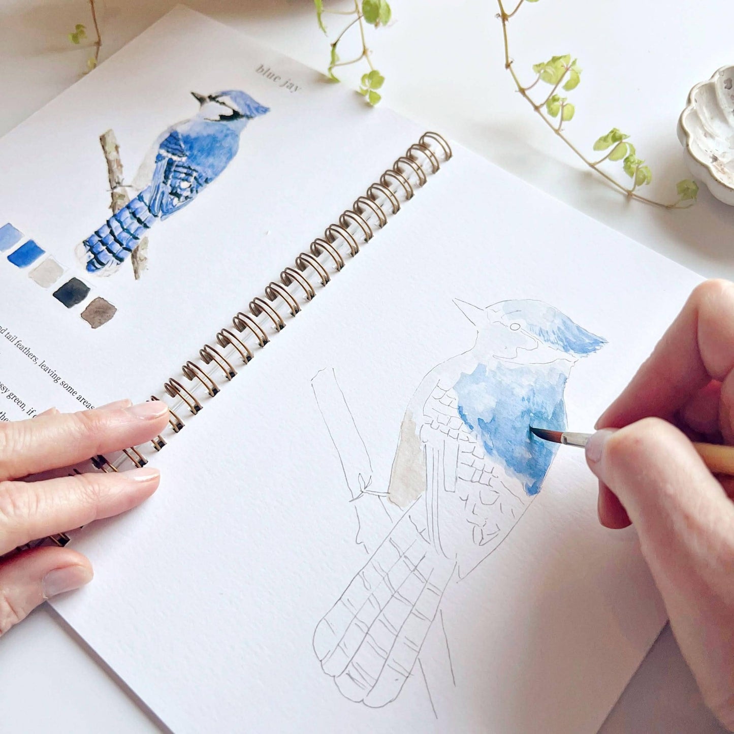 emily lex studio Birds watercolor workbook