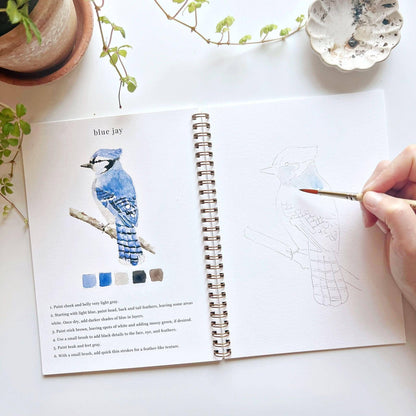 emily lex studio Birds watercolor workbook