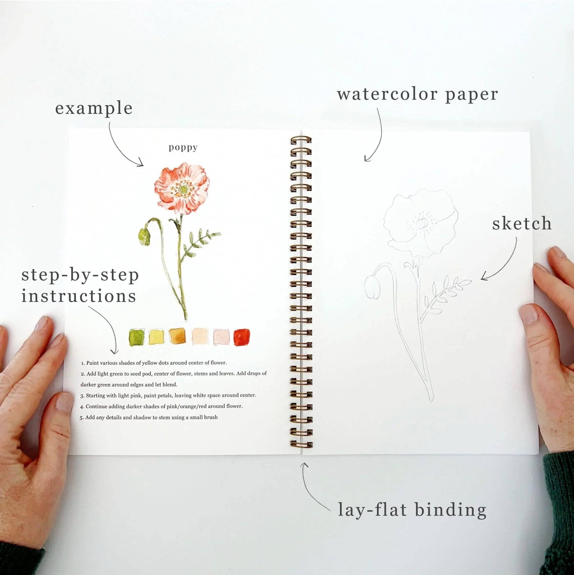 emily lex studio Flowers watercolor workbook