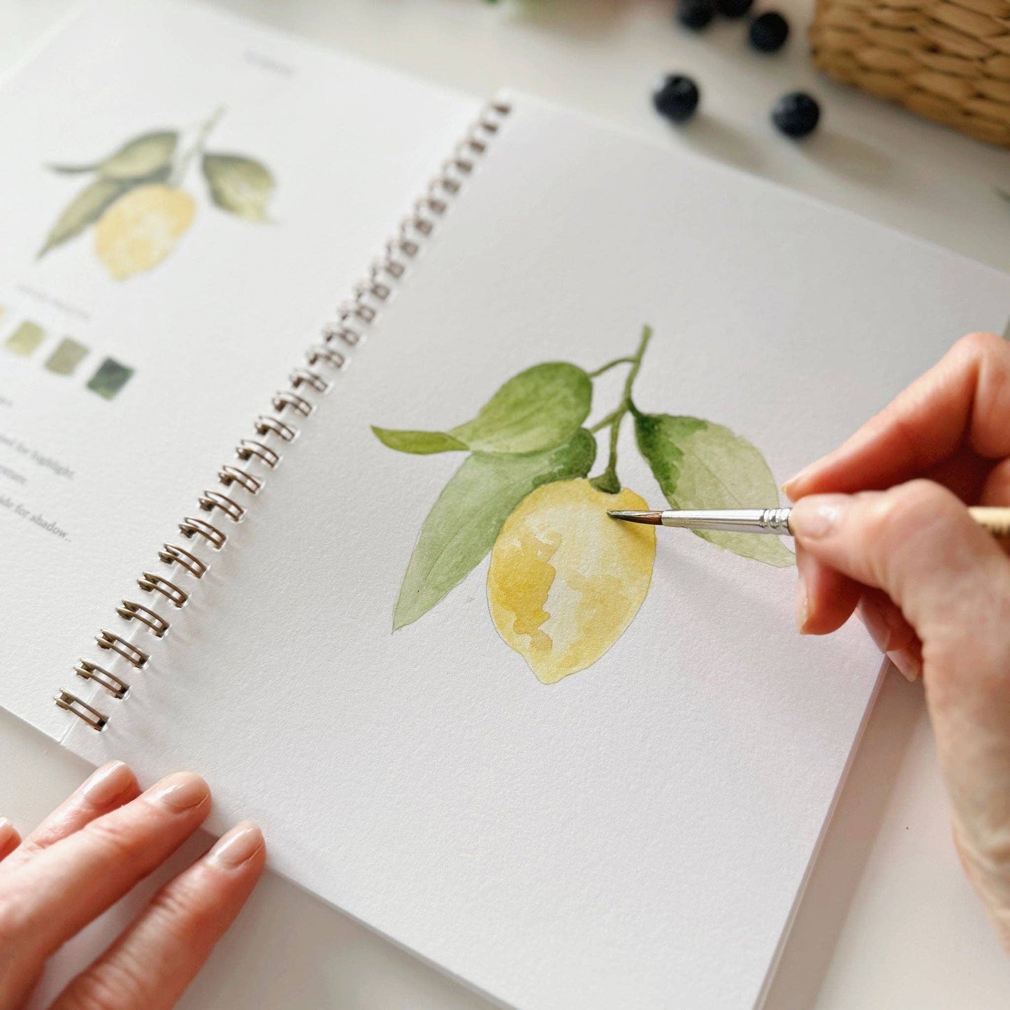 emily lex studio Fruit watercolor workbook