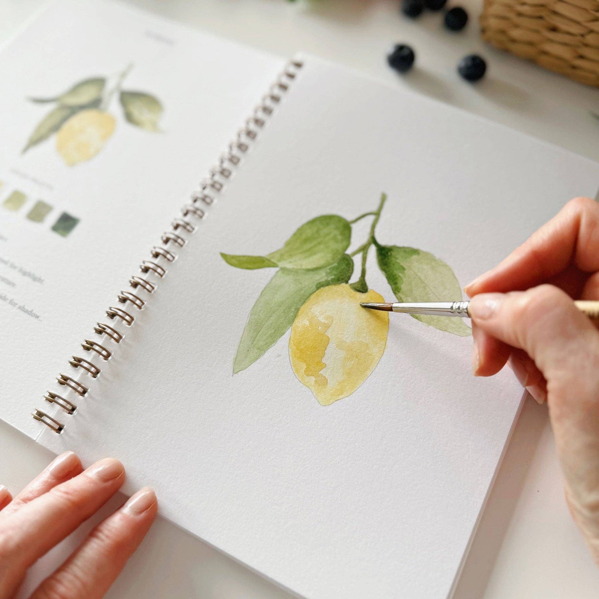 emily lex studio Fruit watercolor workbook