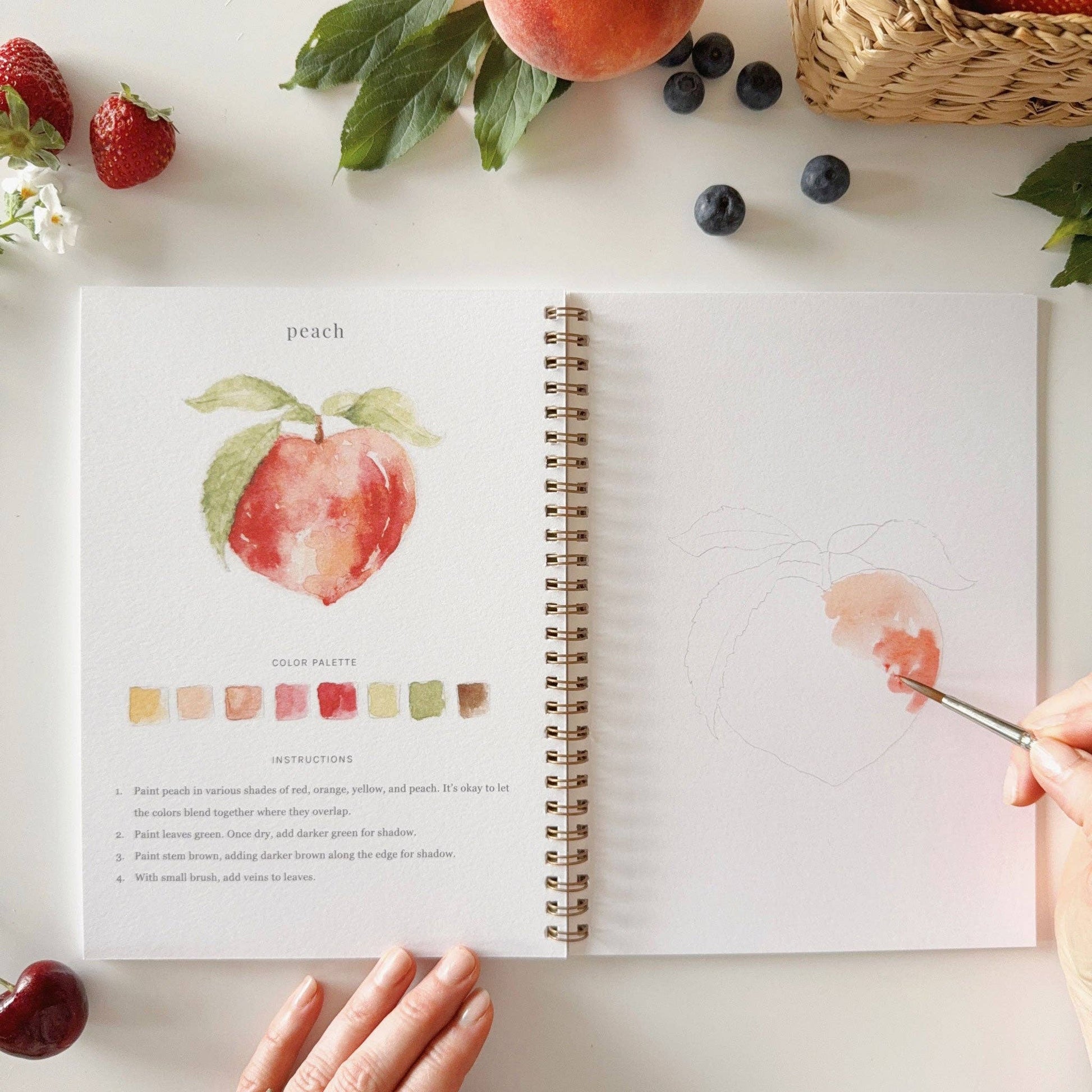 emily lex studio Fruit watercolor workbook