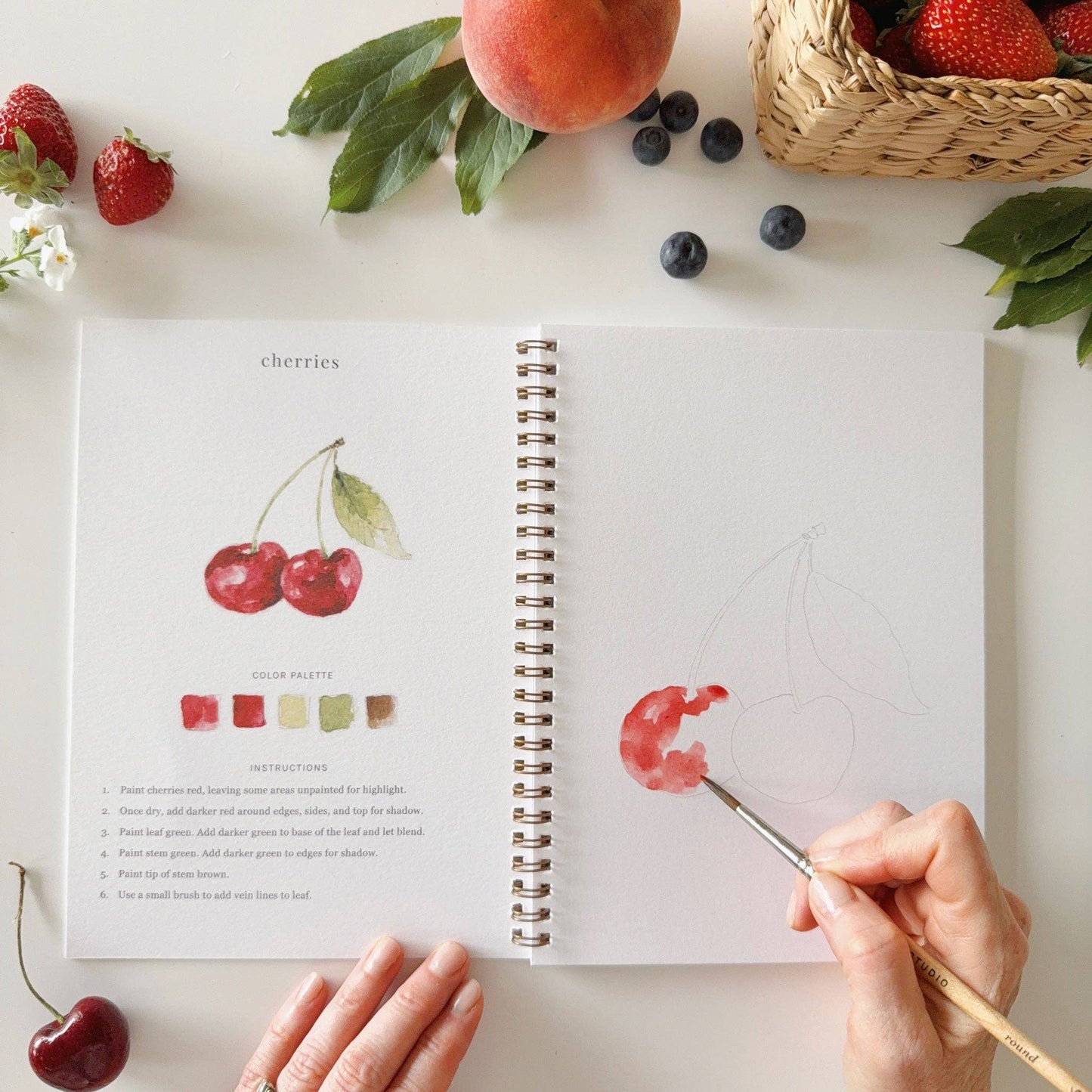 emily lex studio Fruit watercolor workbook