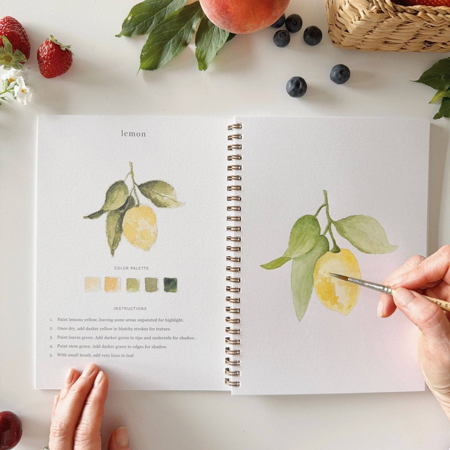 emily lex studio Fruit watercolor workbook