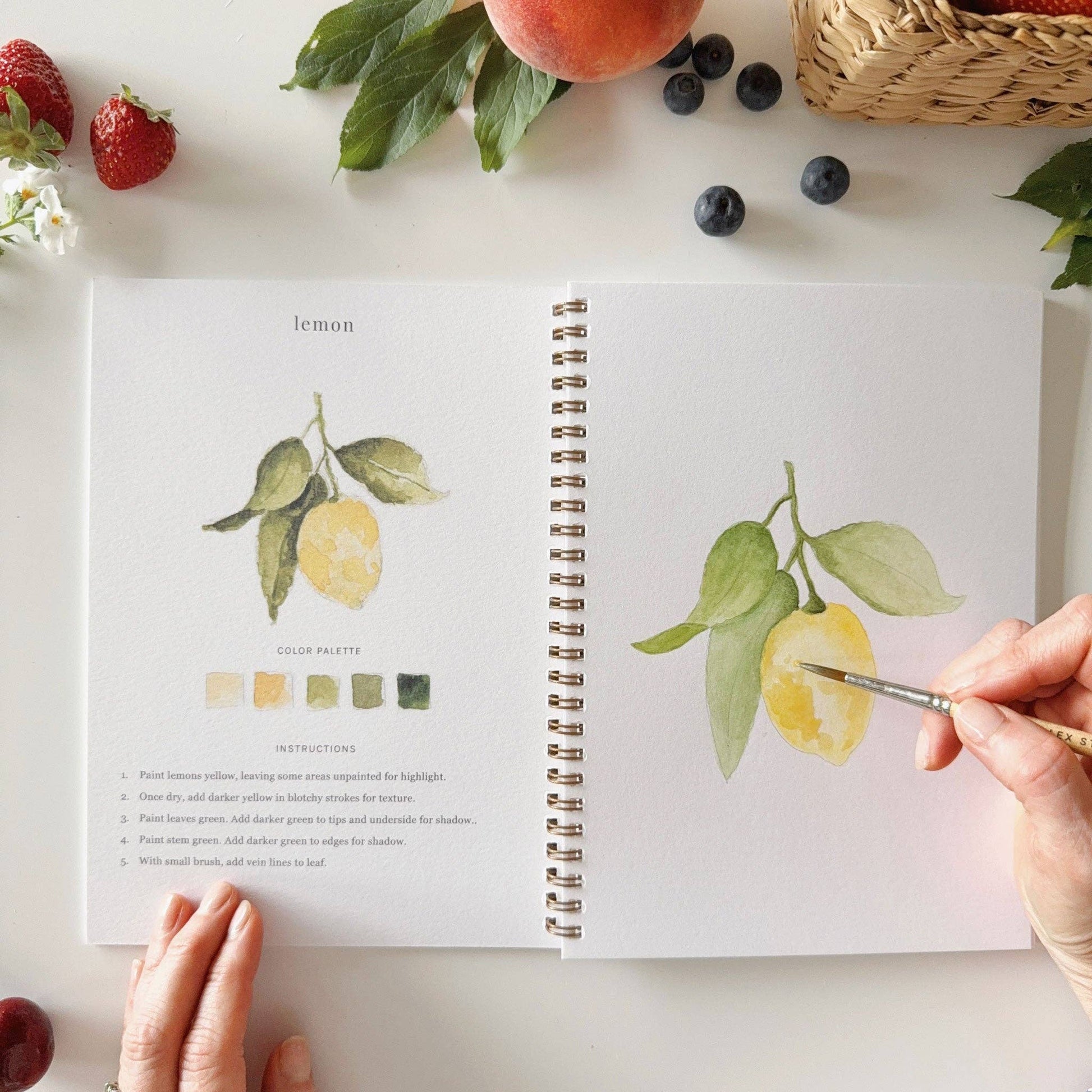 emily lex studio Fruit watercolor workbook