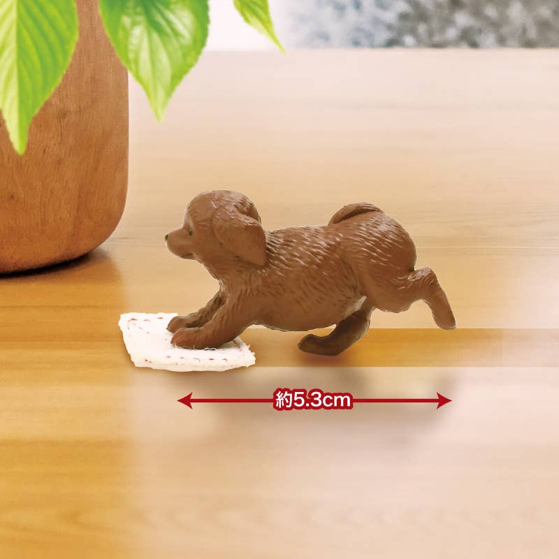 Hakubundo: a division of JPT America, Inc. 【JAPANESE BLIND BOX】FLOOR SCRUBBING DUTY – ALL FOR ONE!