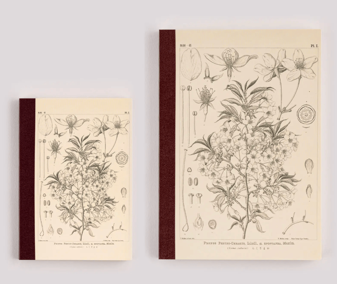 Hightide USA Notebooks & Notepads PREORDER - Hobonichi Techo Accessories - Tomitaro Makino: Hobonichi Graph Notebook - A6 - Yamazakura