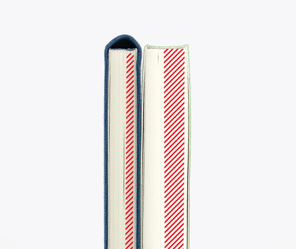 Hightide USA Planners PREORDER - Hobonichi Techo 2027 Weeks MEGA Sneaker: Lime Green