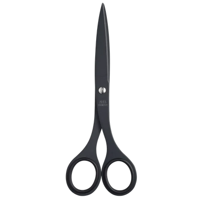 "Japacolle" Japan Collections Scissors Allex S-165F Office scissors (M) Black: Black