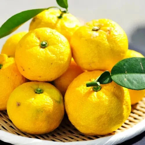 KANKITSU LABO Candy & Chocolate Dry Candied Japanese Citrus Peel | Yuzu (ゆず) | 1.05 oz Bags