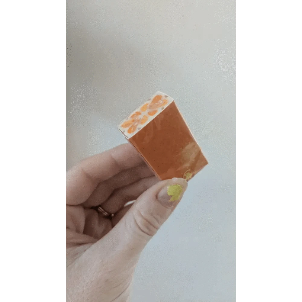 MDS Co.,Ltd. Erasers Air-In Fruit Eraser *6 each of 4 patterns Eraser PLUS Fruits