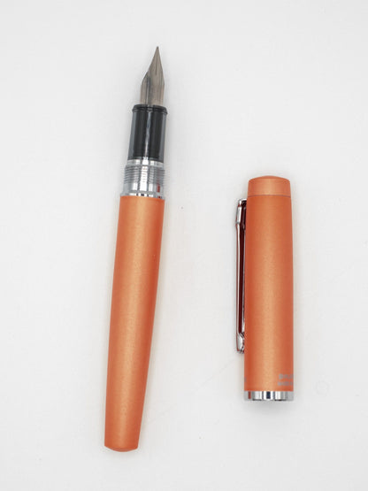 MDS Co.,Ltd. Fountain Pens & Inks Procyon Platinum Fountain Pen