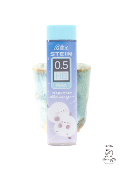 Paddy's Market Banded Pintail Pentel - Ain Stein 0.5 HB