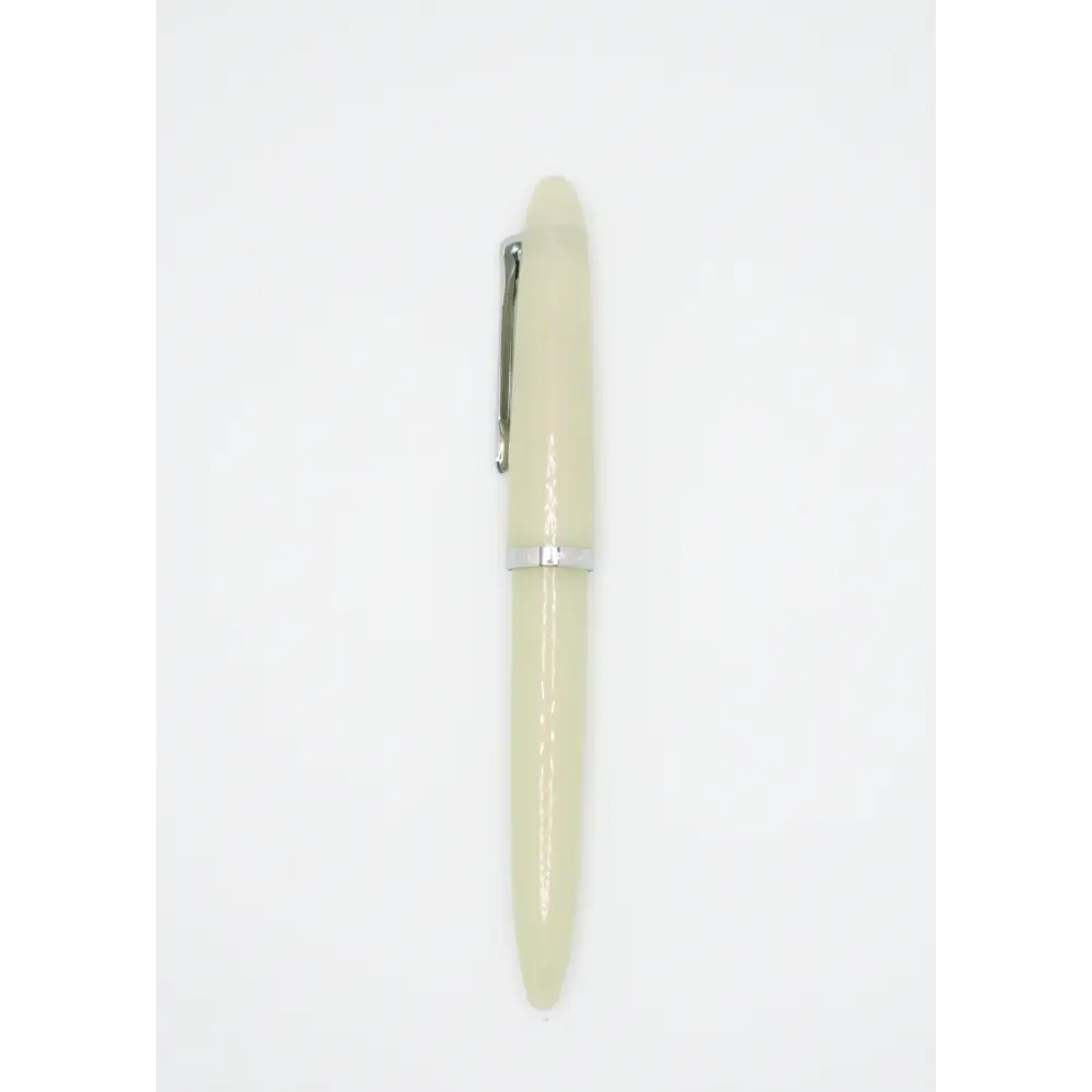 Sailor Profit Junior Fountain Pen