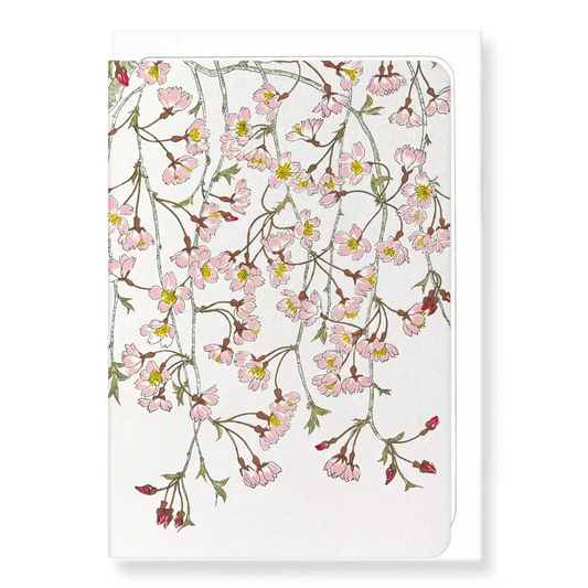 SHIDAREZAKURA BLOSSOMS: Japanese Greeting Card