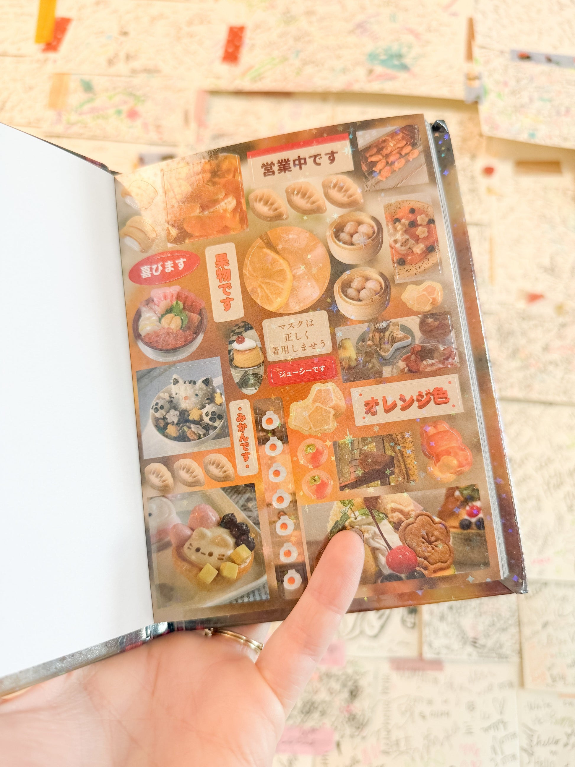 Temu Sticker Books Vintage Aesthetic Japanese Sticker Book - Four Seasons Radio Cat -  Over 800 stickers