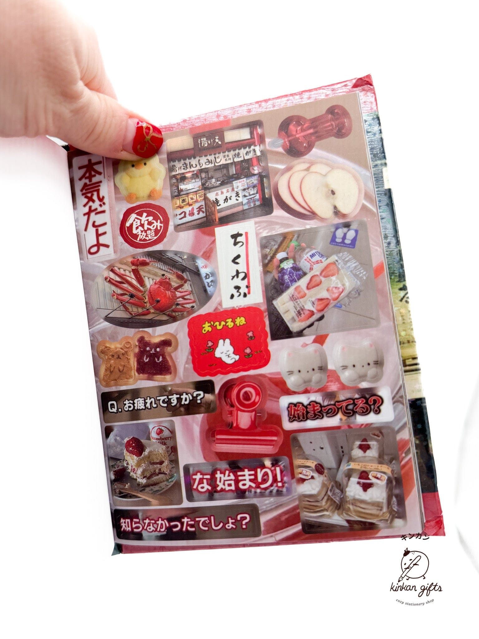 Temu Sticker Books Yuxian Vintage Aesthetic Japanese Sticker Book - Four Seasons Radio -  Over 800 stickers (Copy) (Copy)