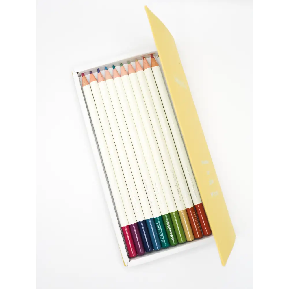 Tombow Irojiten Color Dictionary - 30 pc Colored Pencil Set