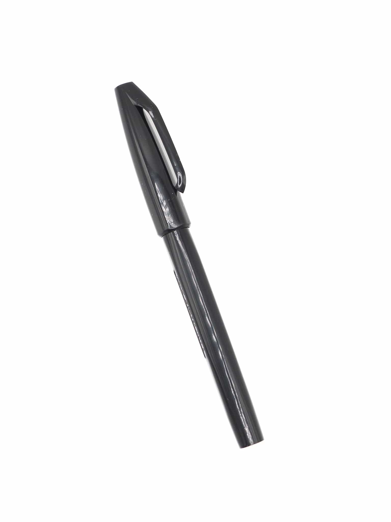 Zoomy BUNGU Pens Pentel Sign Pen Fine Point